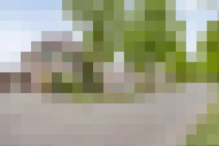 Terloo 49 Oss thumbnail 54