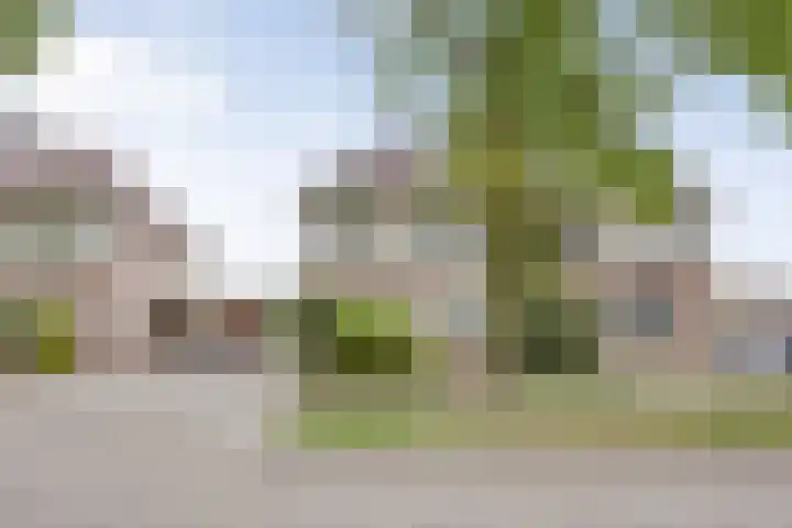 Terloo 49 Oss thumbnail 6