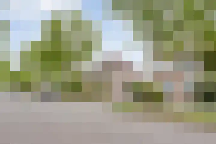 Terloo 49 Oss thumbnail 7