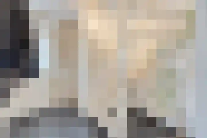 Terloo 49 Oss thumbnail 8