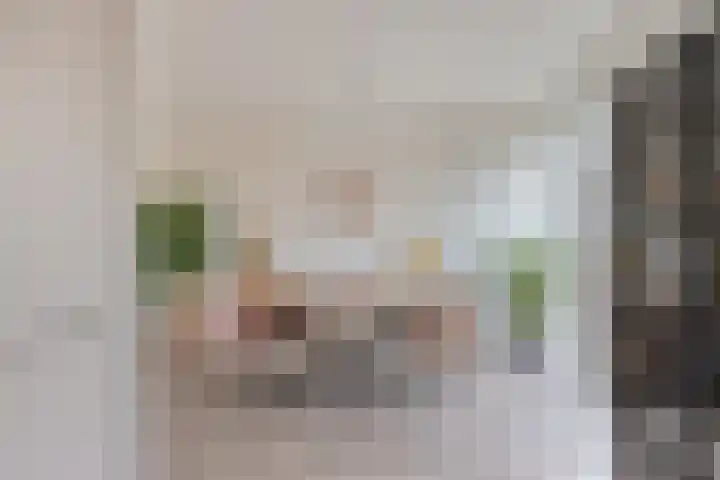 Termijen 107 Heiloo thumbnail 13