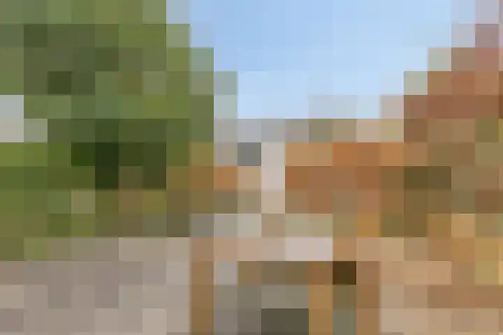 Termijen 107 Heiloo thumbnail 15