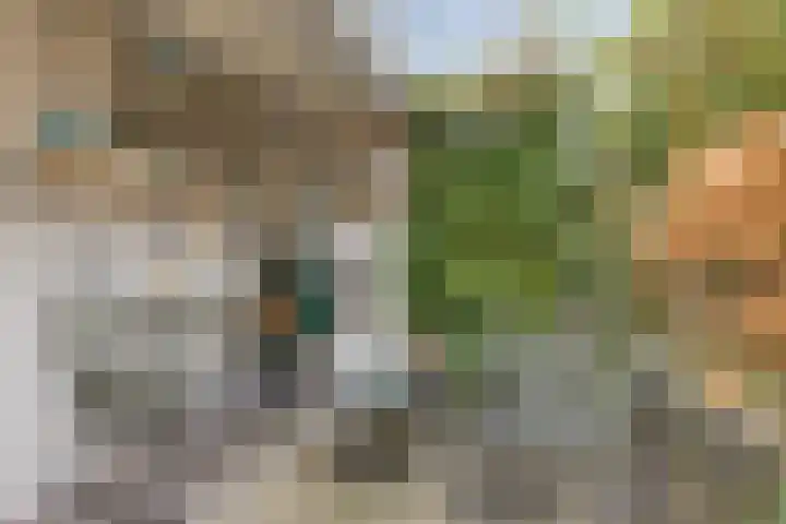 Termijen 107 Heiloo thumbnail 17
