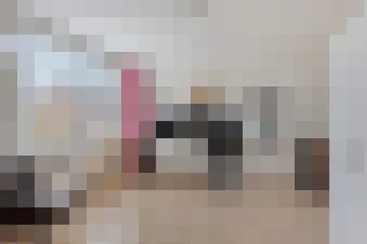 Termijen 107 Heiloo thumbnail 20