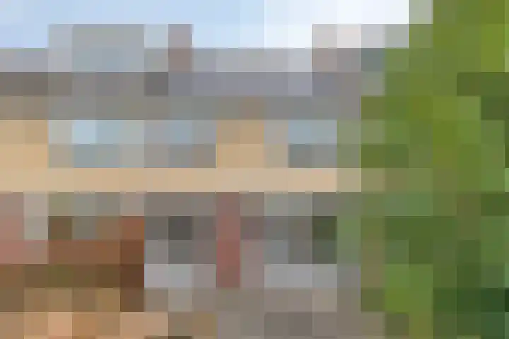 Termijen 107 Heiloo thumbnail 28