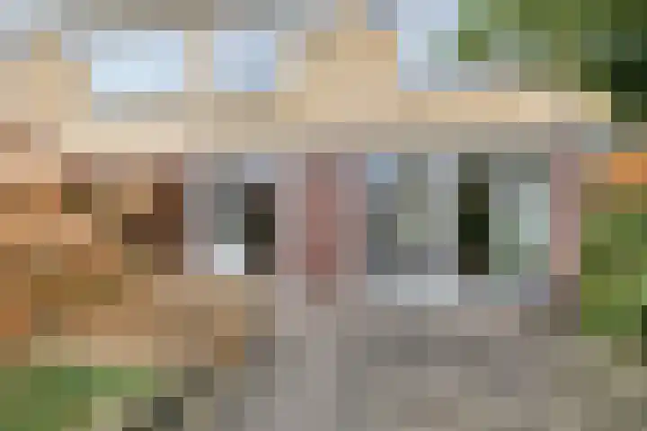 Termijen 107 Heiloo thumbnail 29