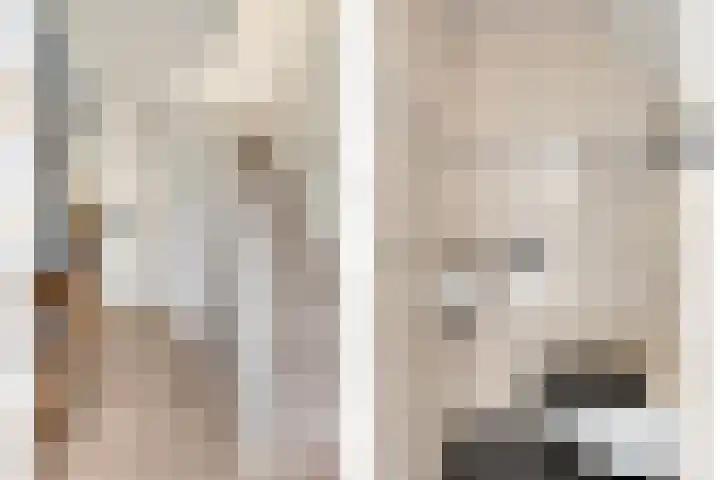 Termijen 107 Heiloo thumbnail 5