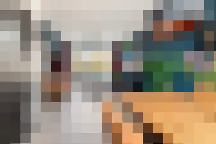 Termijen 28 Heiloo thumbnail 15