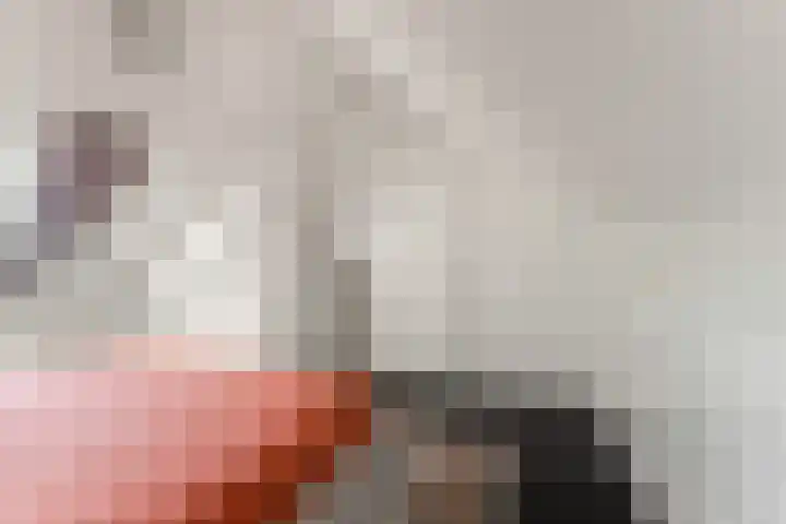 Termijen 28 Heiloo thumbnail 35