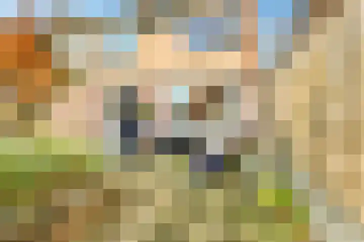 Termijen 28 Heiloo thumbnail 37