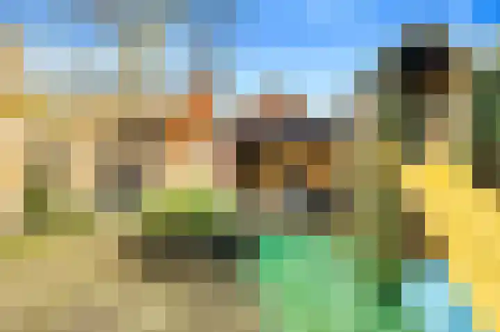 Termijen 28 Heiloo thumbnail 38