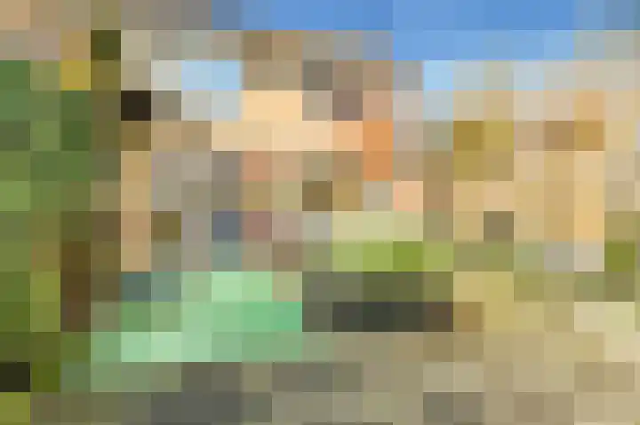 Termijen 28 Heiloo thumbnail 39