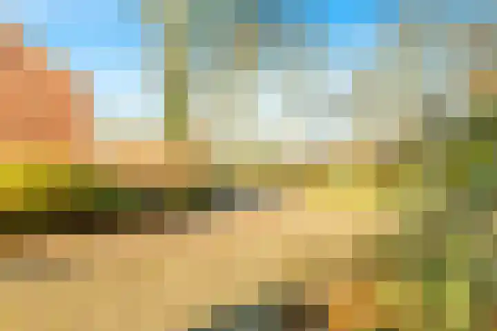 Termijen 28 Heiloo thumbnail 42