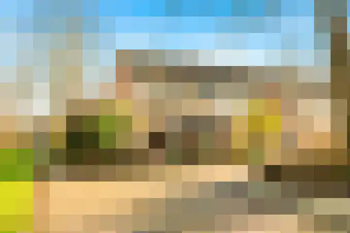 Termijen 28 Heiloo thumbnail 5