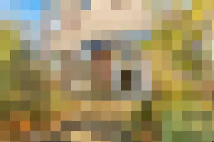 Termijen 28 Heiloo thumbnail 6
