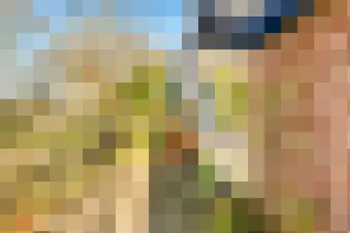 Termijen 28 Heiloo thumbnail 7