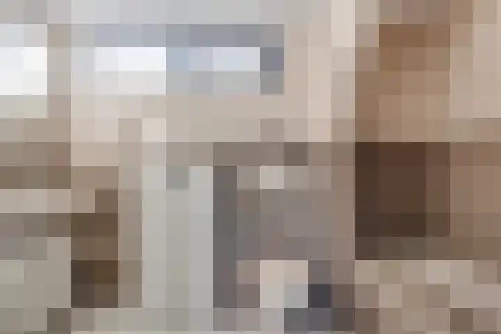 Termijen 42 Heiloo thumbnail 24