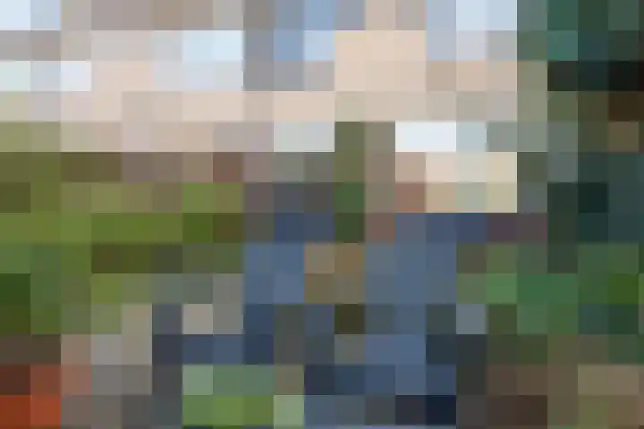 Termijen 42 Heiloo thumbnail 33