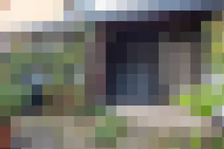 Termijen 42 Heiloo thumbnail 34