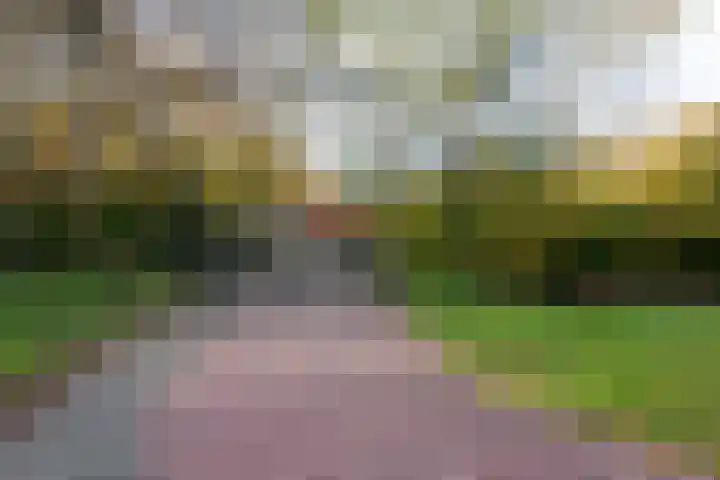 Termijen 42 Heiloo thumbnail 35