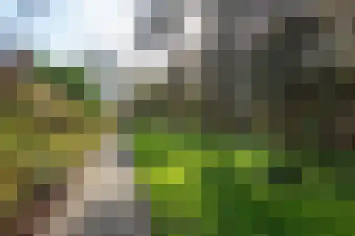 Termijen 42 Heiloo thumbnail 38