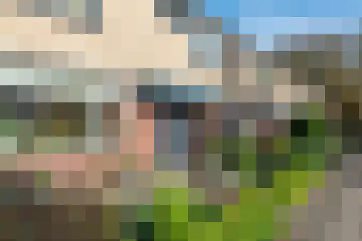 Termijen 42 Heiloo thumbnail 39
