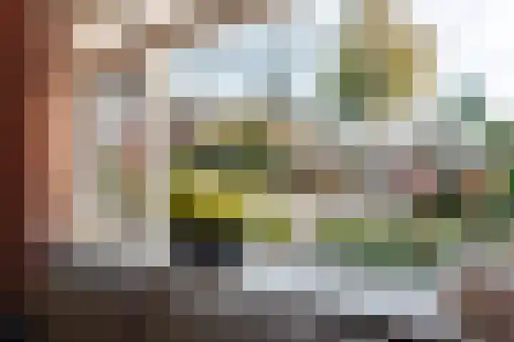 Termijen 42 Heiloo thumbnail 6