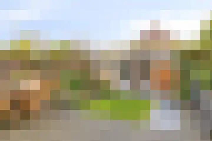 Termijen 95 Heiloo thumbnail 15