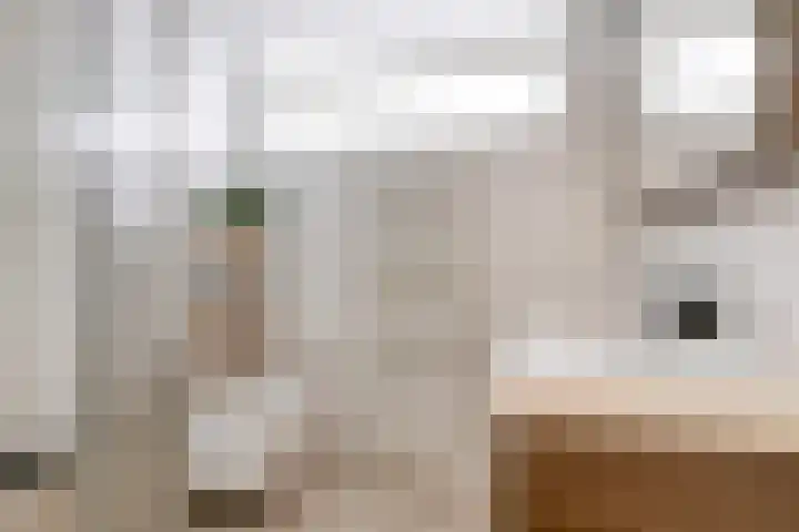 Termijen 95 Heiloo thumbnail 20