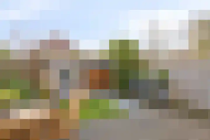Termijen 95 Heiloo thumbnail 25