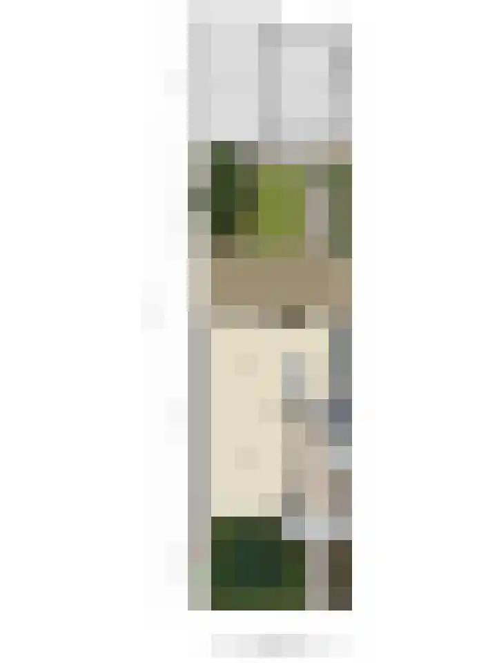 Termijen 95 Heiloo thumbnail 33