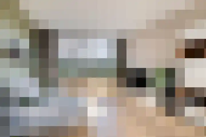 Termijen 95 Heiloo thumbnail 6