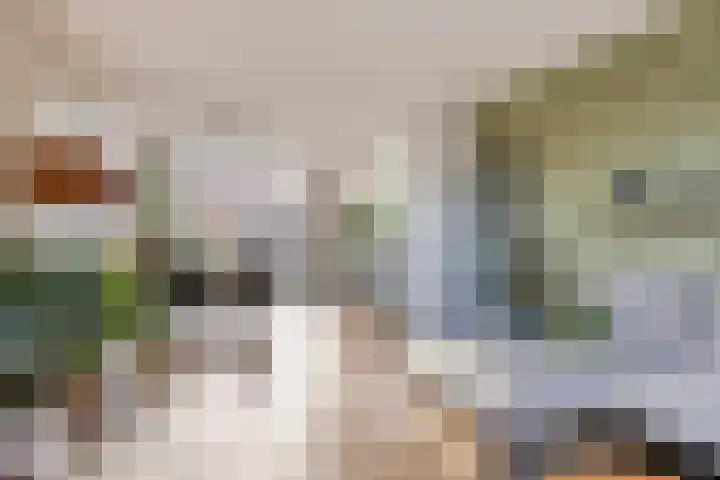 Termijen 95 Heiloo thumbnail 7