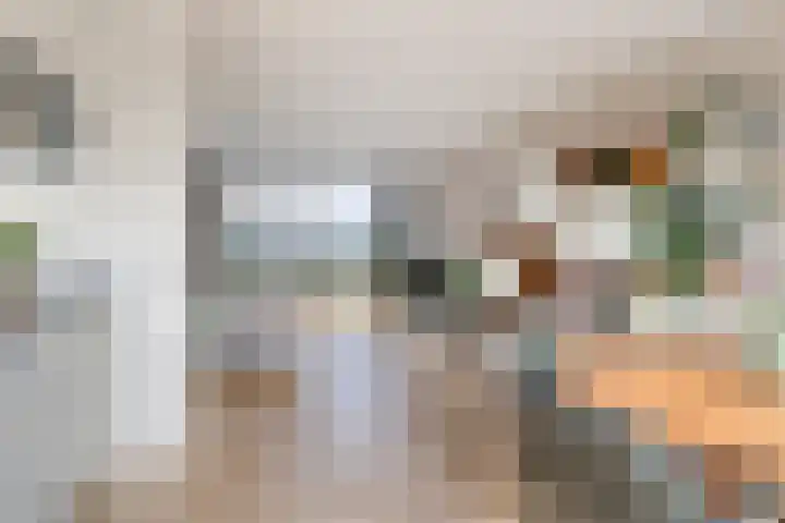 Termijen 95 Heiloo thumbnail 8