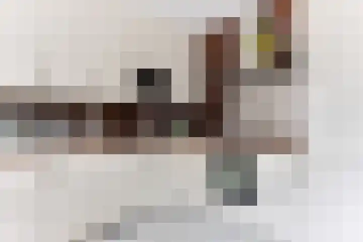 Termijen 98 Heiloo thumbnail 11