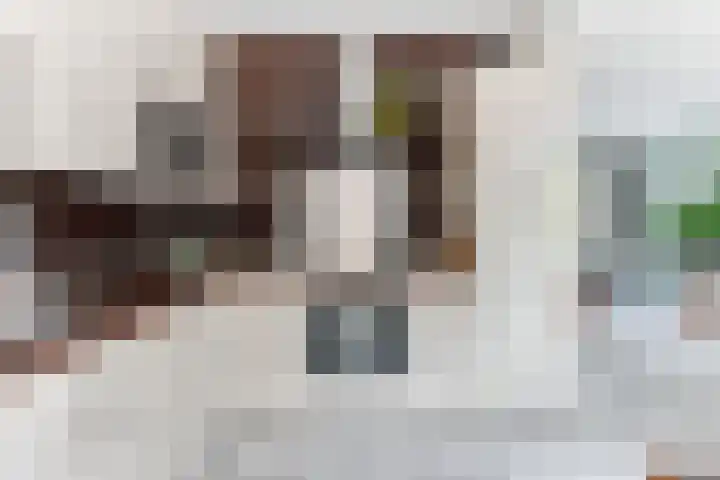 Termijen 98 Heiloo thumbnail 12