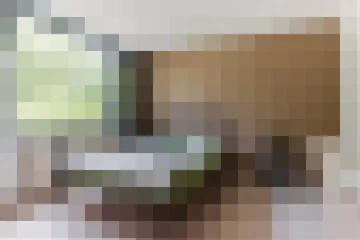 Termijen 98 Heiloo thumbnail 21
