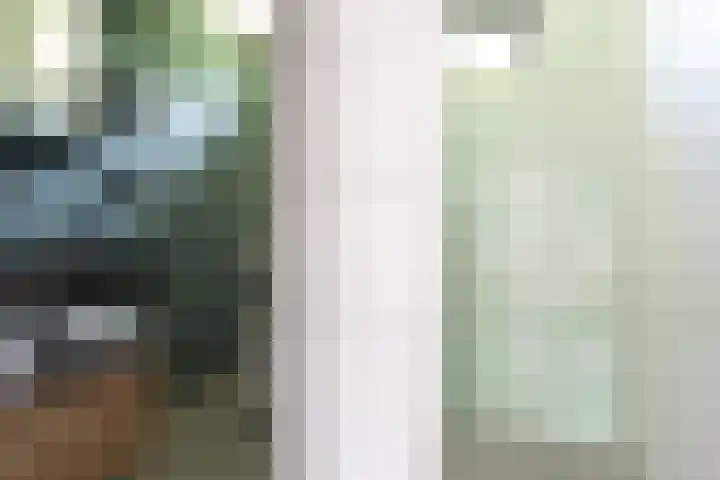 Termijen 98 Heiloo thumbnail 23