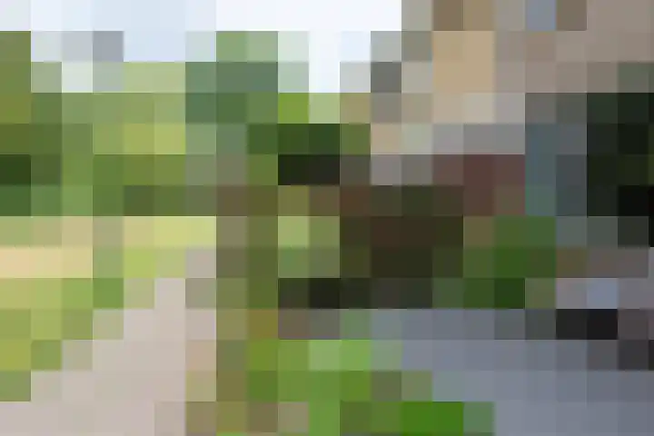 Termijen 98 Heiloo thumbnail 38