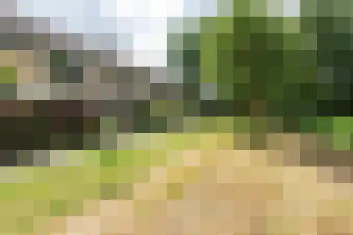 Termijen 98 Heiloo thumbnail 39