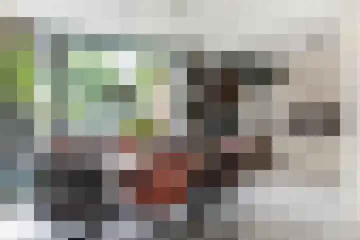 Termijen 98 Heiloo thumbnail 9