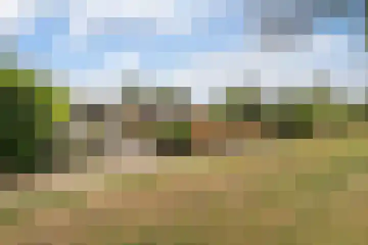 Termuntenpad 26 Arnhem thumbnail 24