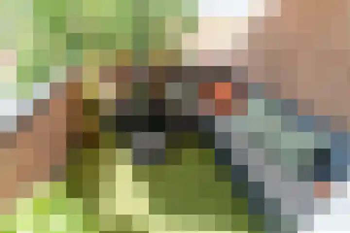 Ternatestraat 169 Delft thumbnail 30