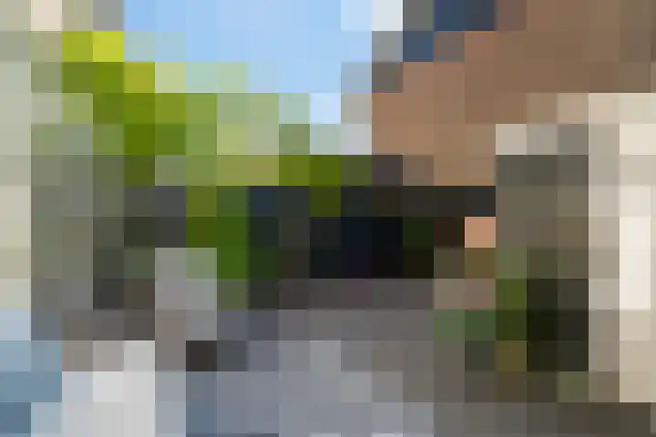 Ternatestraat 20 Delft thumbnail 22