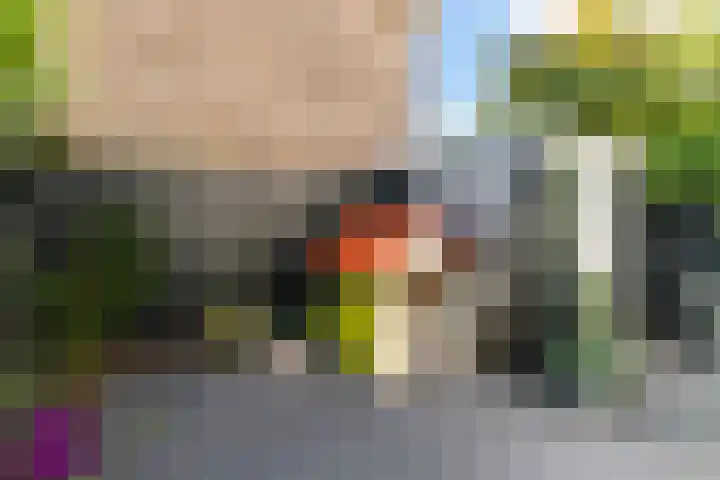 Ternatestraat 20 Delft thumbnail 23
