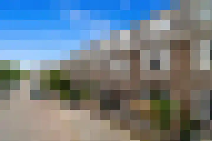 Ternatestraat 61 Delft thumbnail 4