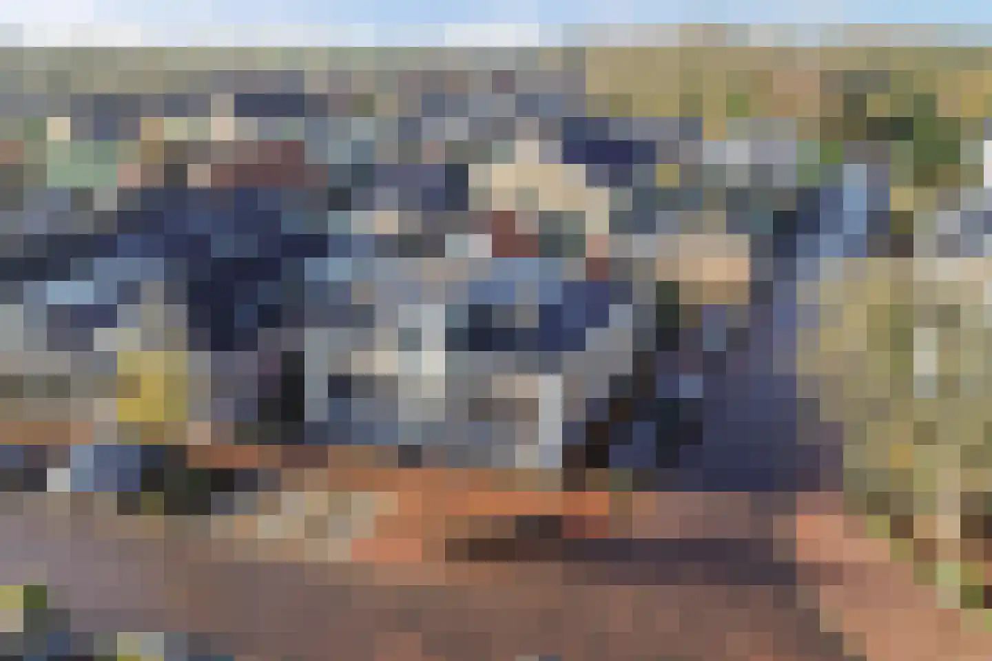 Terp 1 in Sexbierum
