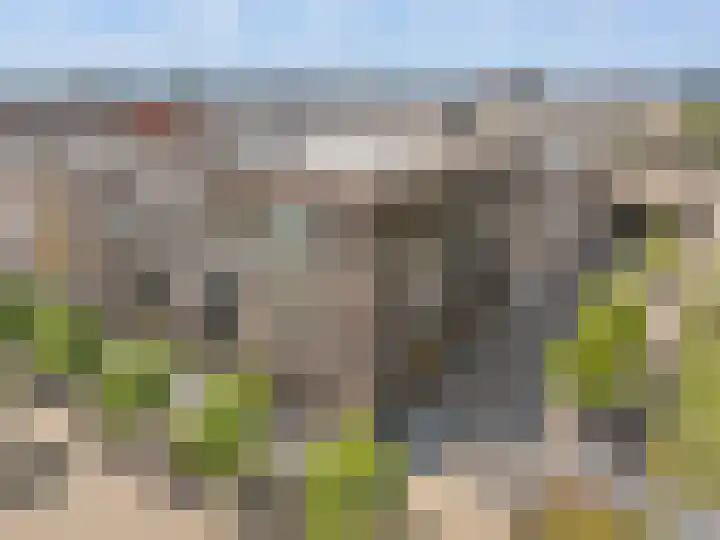 Terp 15 Pijnacker thumbnail 10