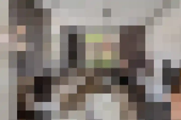 Terp 15 Pijnacker thumbnail 10