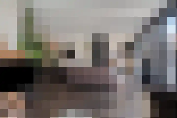 Terp 15 Pijnacker thumbnail 11